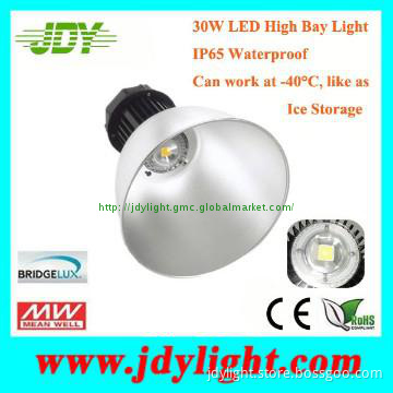 Outdoor 30W LED Highbay Lamp IP65 Warm White for Ice Storage CE RoHS
